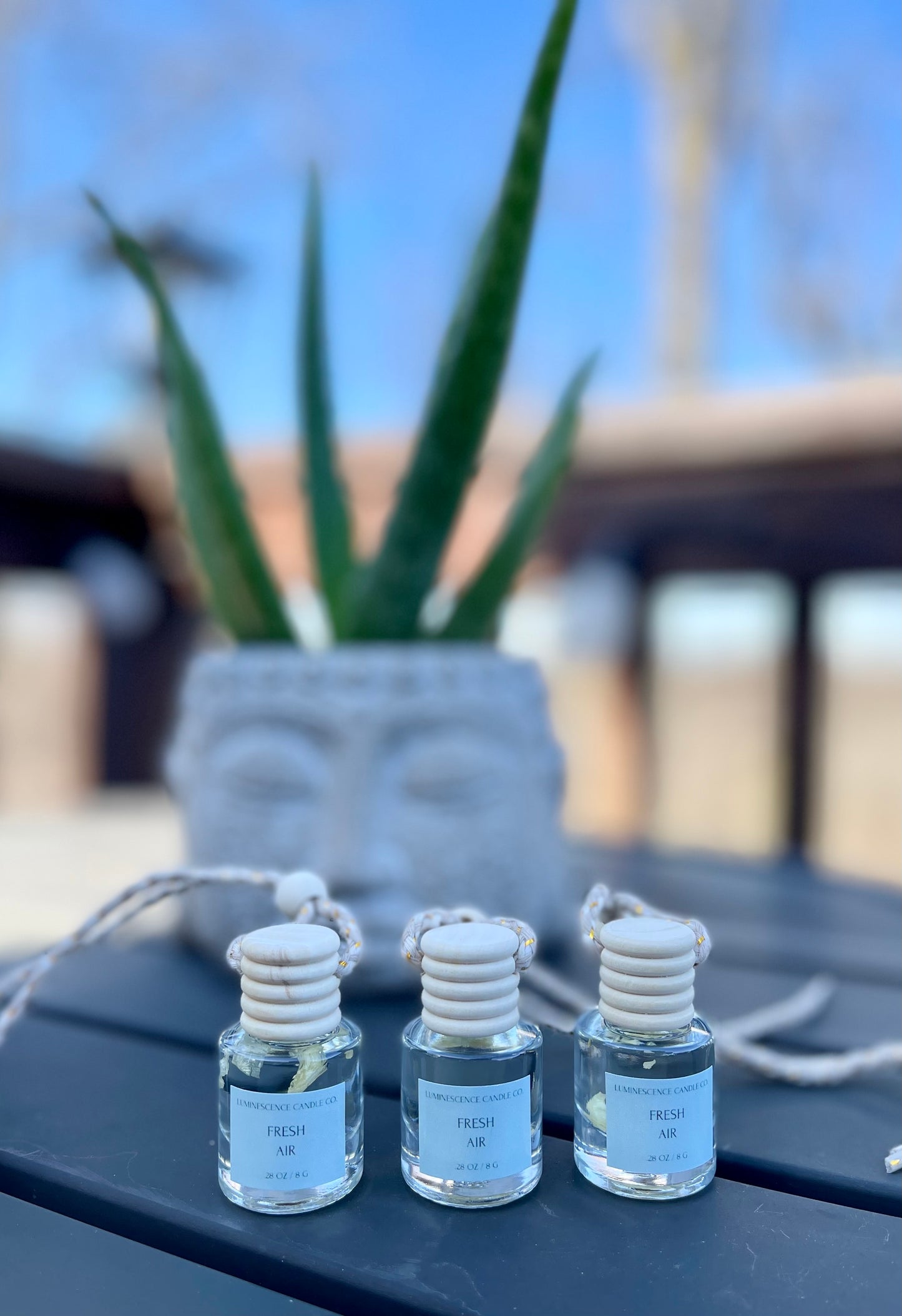 Car Diffusers